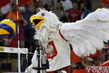 Kadra na zgrupowaniu w Spale przed Final Six Ligi Światowej