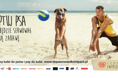 Wojtek Włodarczyk ambasadorem kampanii promującej odpowiedzialną adopcję dorosłych psów