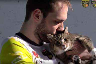 Sportowcy Trefla dla bezdomnych kotów