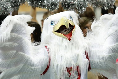 LŚ 2014 w Polsce. Mecze z Włochami w Katowicach i Łodzi