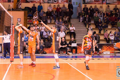 Puchar Polski: AZS PWSZ Stal Nysa i APP Krispol Września w ćwierćfinale