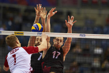 Graham Vigrass: potrzebujemy trochę czasu, aby się dotrzeć