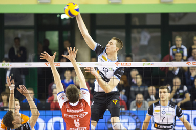 Cerrad Czarni Radom - Effector Kielce