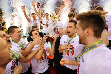 RetroPlusLiga (2014/15): złota Asseco Resovia