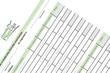 Dodatkowy sposób rekrutacji drużyn