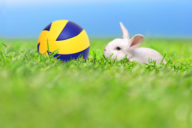 Świąt zdrowych, radosnych, spokojnych