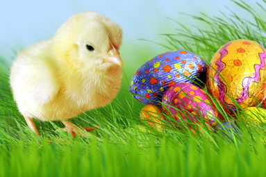 Świąteczne życzenia