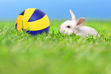 Najserdeczniejsze życzenia