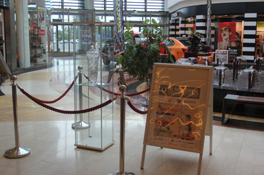 Można już podziwiać Puchar