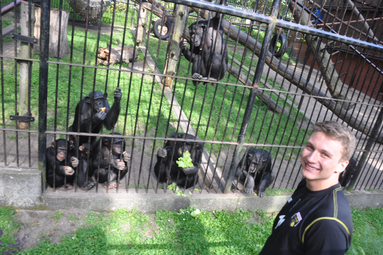 Treflowy zwierzyniec