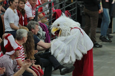 Kwalifikacje ME: Łotwa - Macedonia 3:1