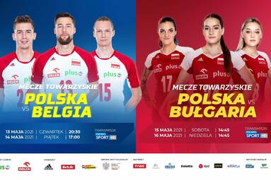 Vital Heynen: „bańka” w Rimini będzie świetnym eksperymentem w budowaniu drużyny