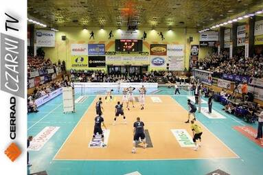 Wypowiedzi po meczu Cerrad Czarni Radom - ONICO Warszawa