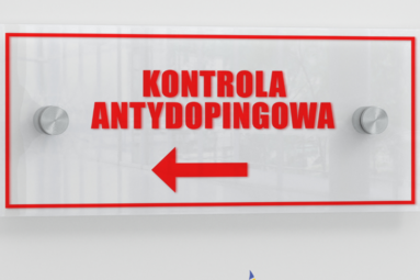 PlusLiga w systemie ADAMS