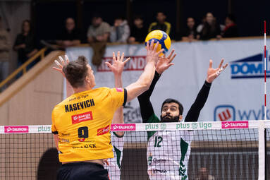 Energa Trefl Gdańsk rozbił beniaminka w pierwszym meczu 10. kolejki