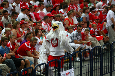 Kadra Castellaniego w sklepie adidasa w CH FOCUS MALL!